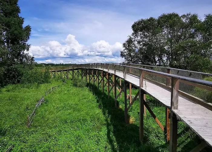 Sadama Joemaja Nyaraló